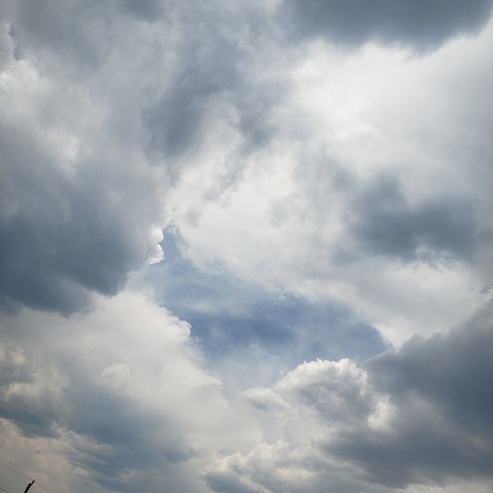 Meet your Posher, Justin and tasha